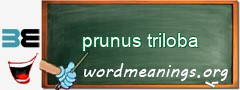 WordMeaning blackboard for prunus triloba